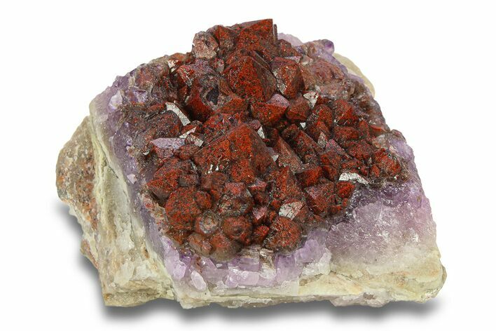 Thunder Bay Amethyst Cluster with Hematite - Canada #283433